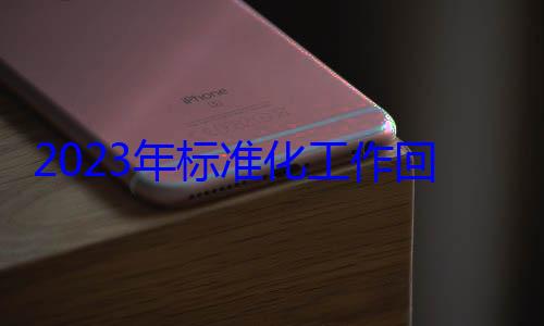回顾标准化工作2023年
